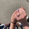 Sophia - Moissaniteforlovelsesring med pavésidesten