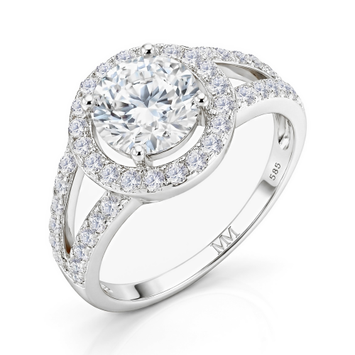 Regalyn - Moissaniteforlovelsesring med halo og delt ringskinne