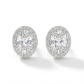 Ellipse - Ovale ørestikker med moissanite i halofatning